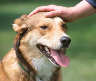 1679540623347.webp