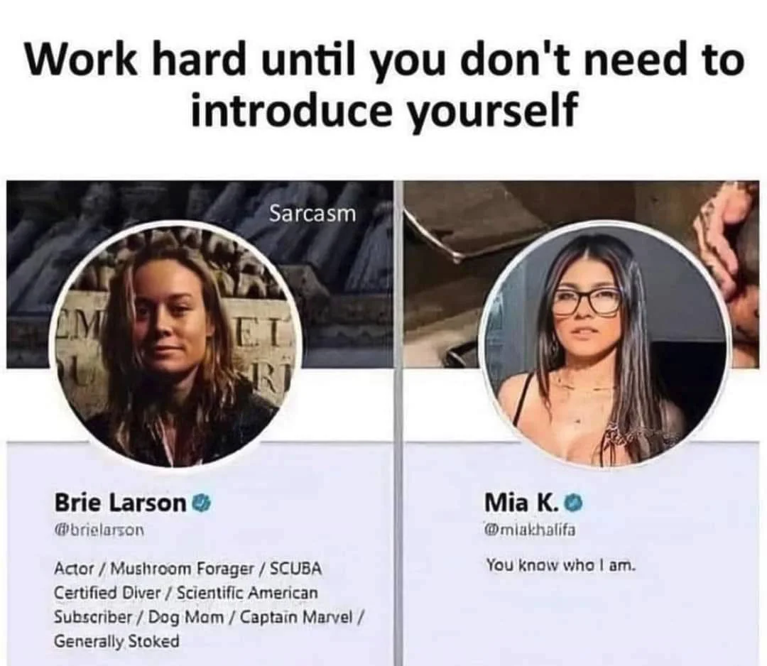 1682251692614.webp