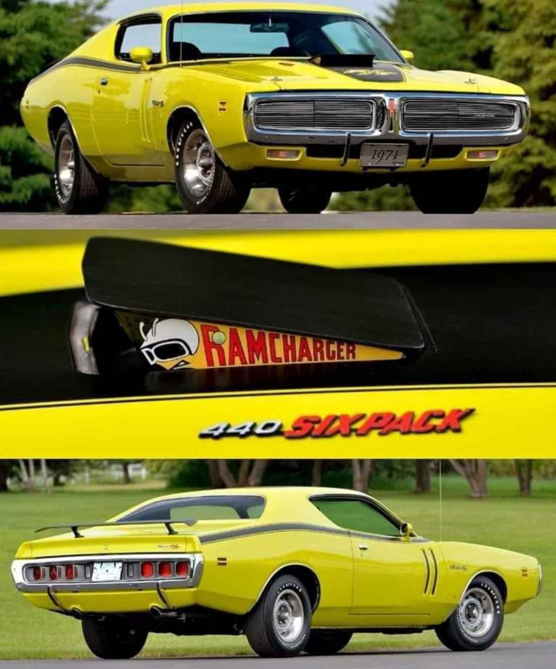 1692509609311.webp