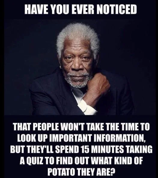 1694307279636.webp