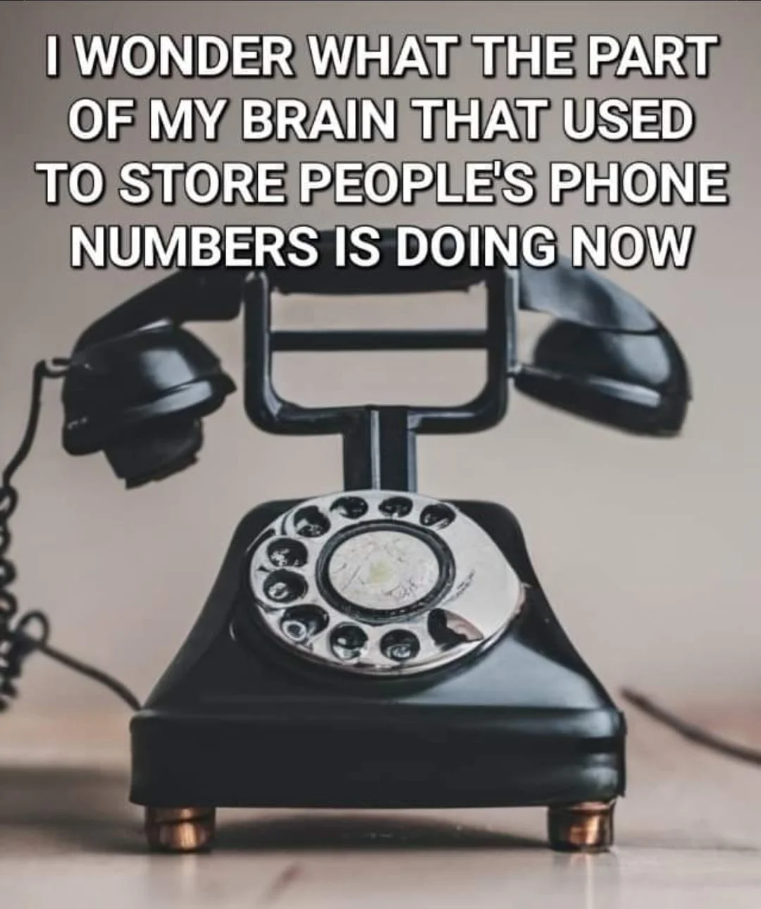 1695528188997.webp