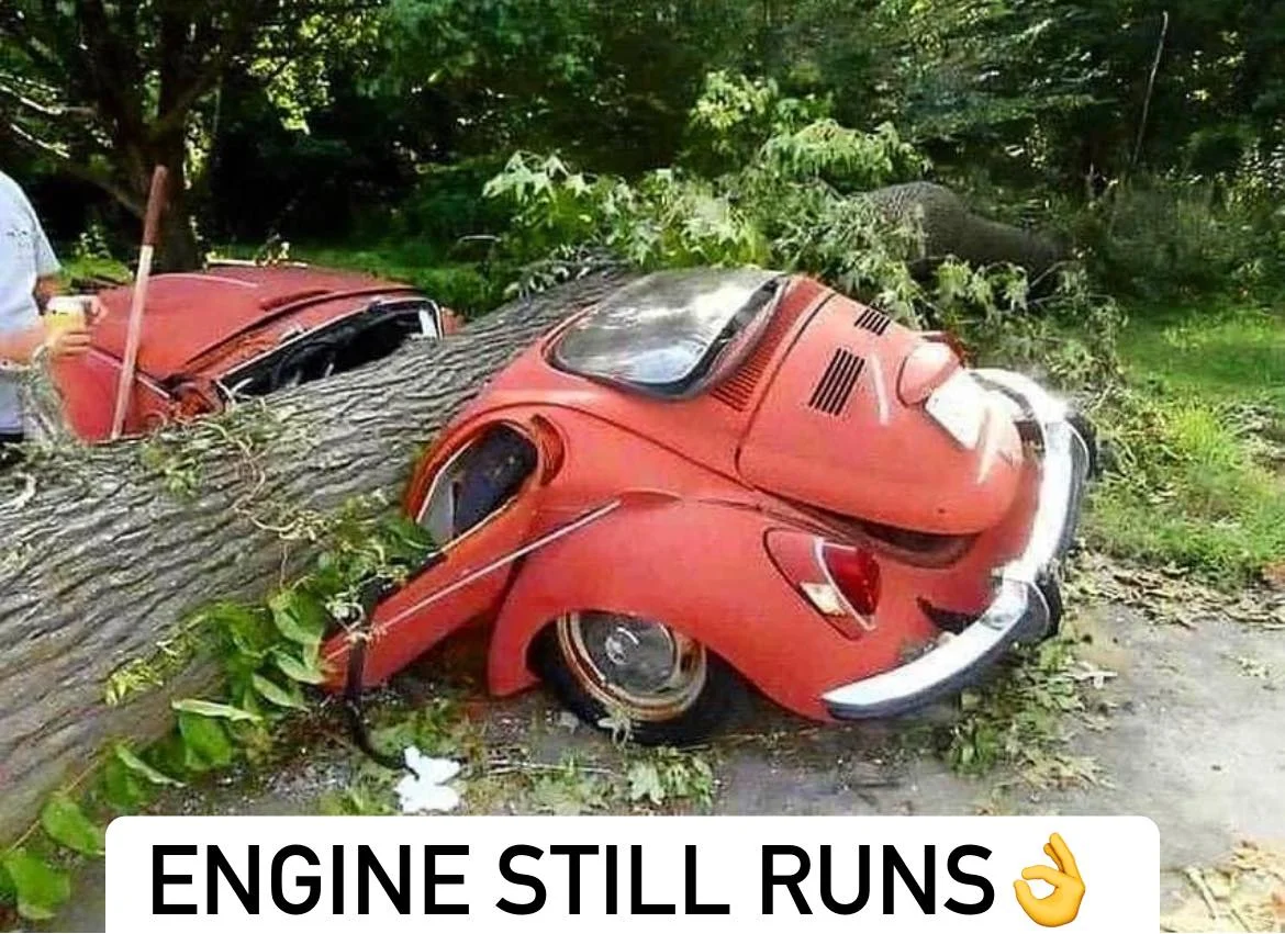 1695588385795.webp