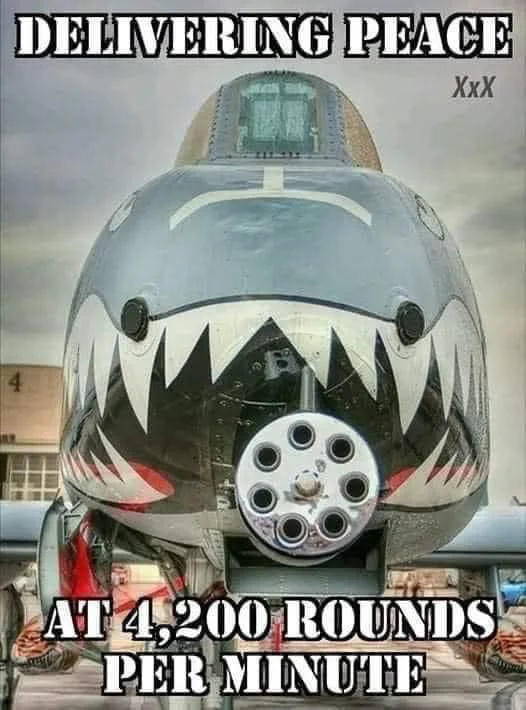 1700788624498.png