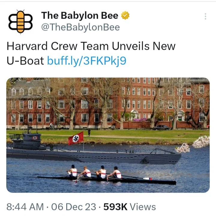 1701954235459.webp