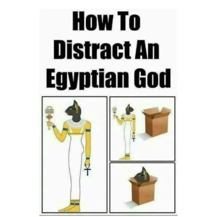 1702244668592.webp