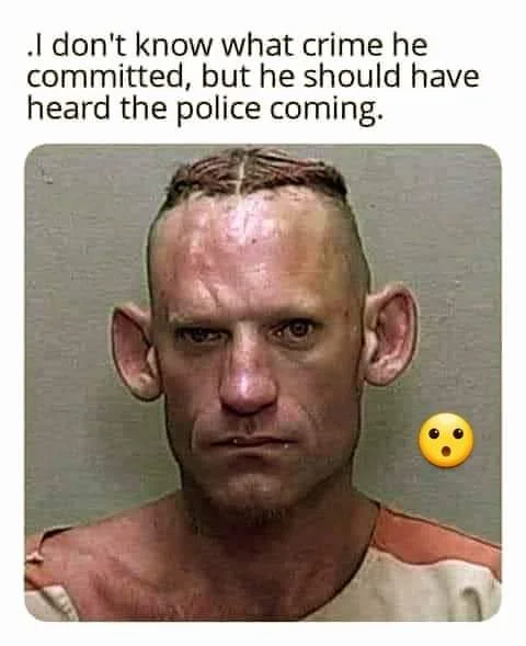 1703426420510.webp