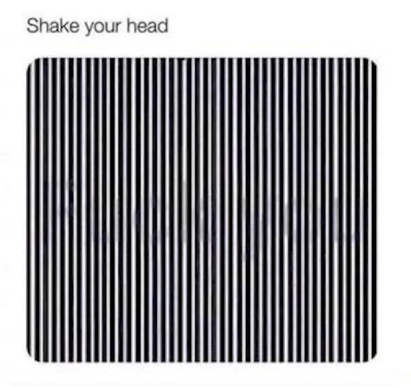1703598593394.webp