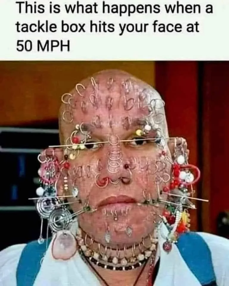 1706403633228.webp