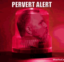 1708830142539.gif