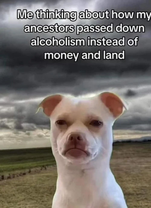 1712932268621.webp