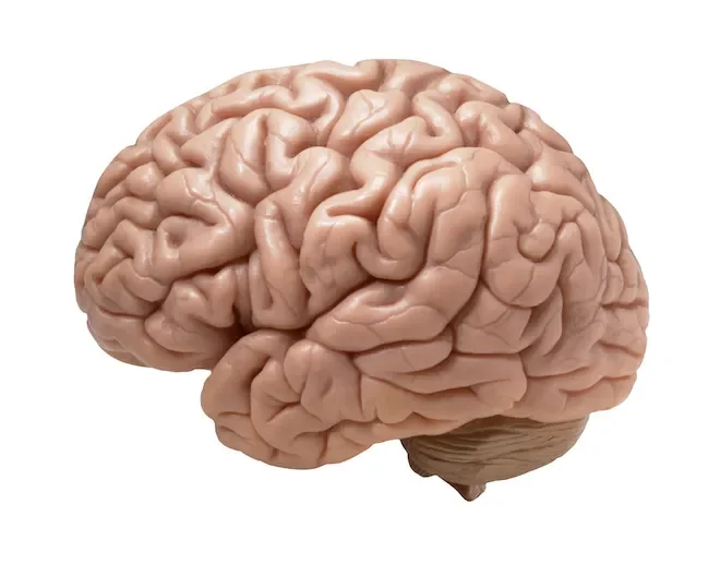 1714484730842.png