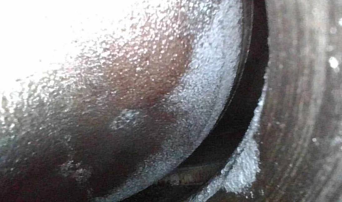 1715901002884.webp