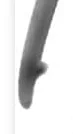 1722047376127.png