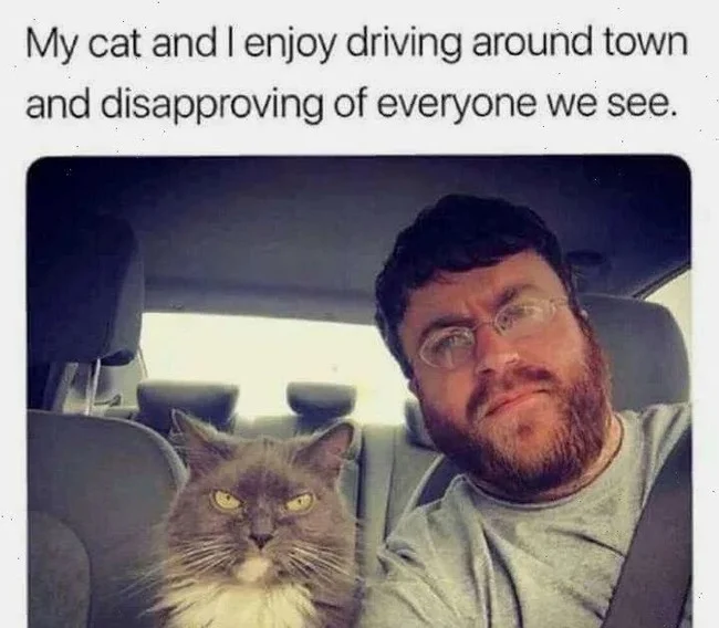 1730682527345.webp