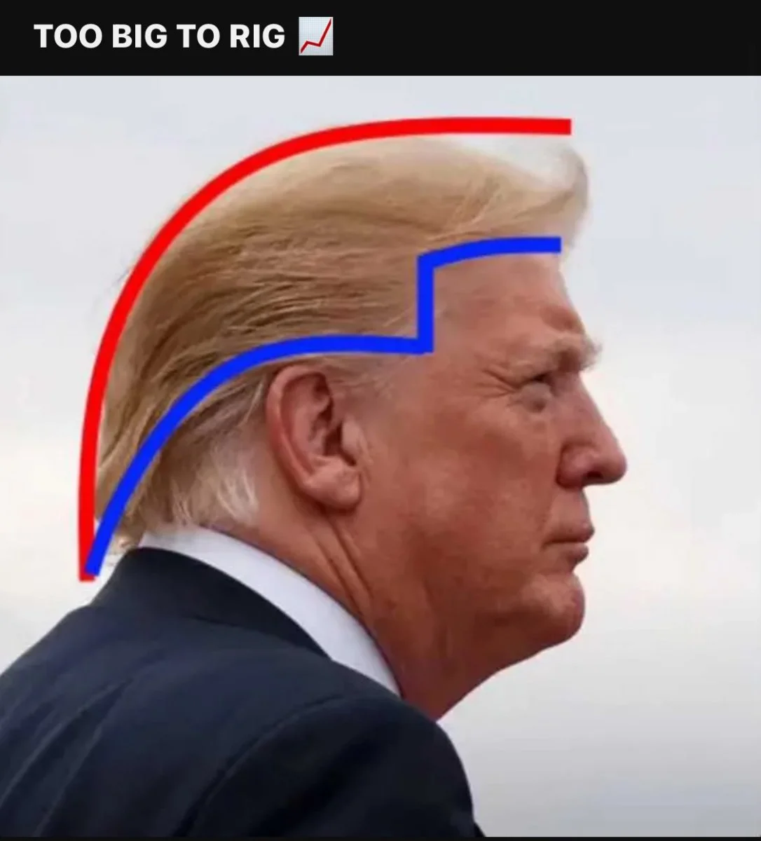 1730848090184.webp