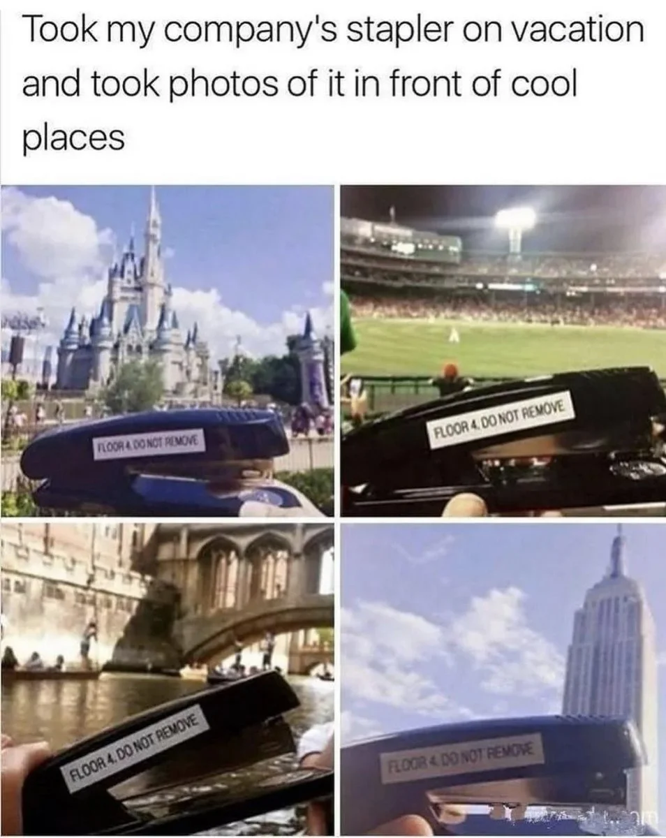 1733424497621.webp