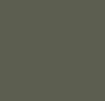 1735055872489.webp