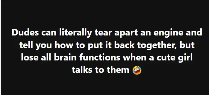 1740619720577.webp