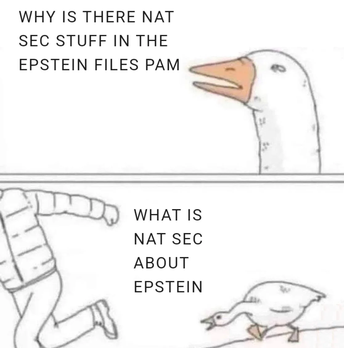 1741186740032.webp