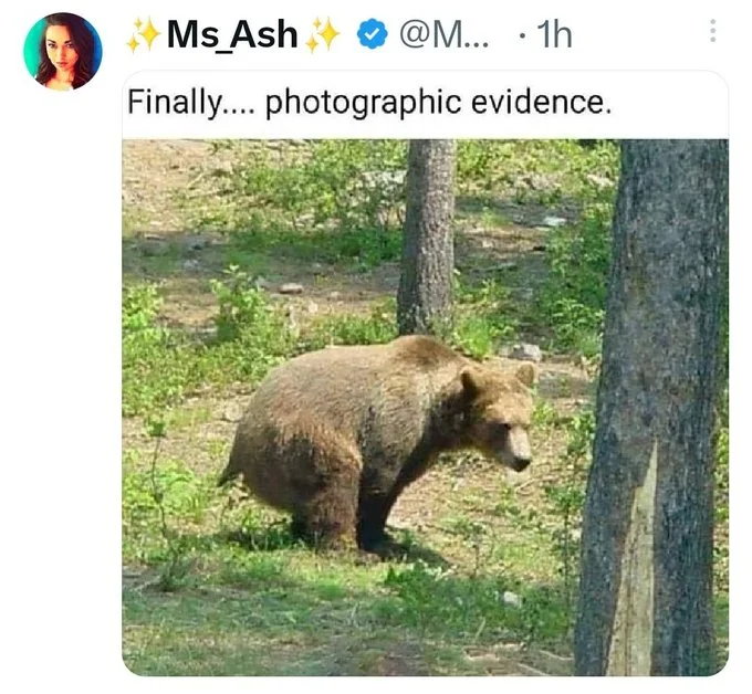 1742144194883.webp
