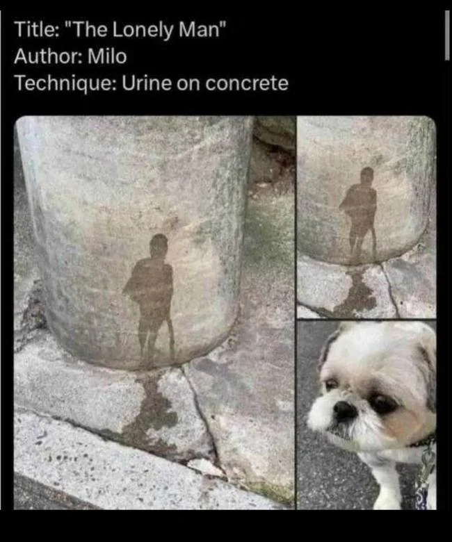 1742218939915.webp