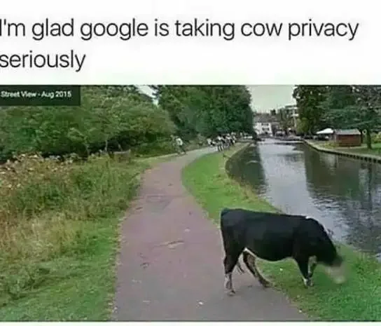 1743261061433.webp