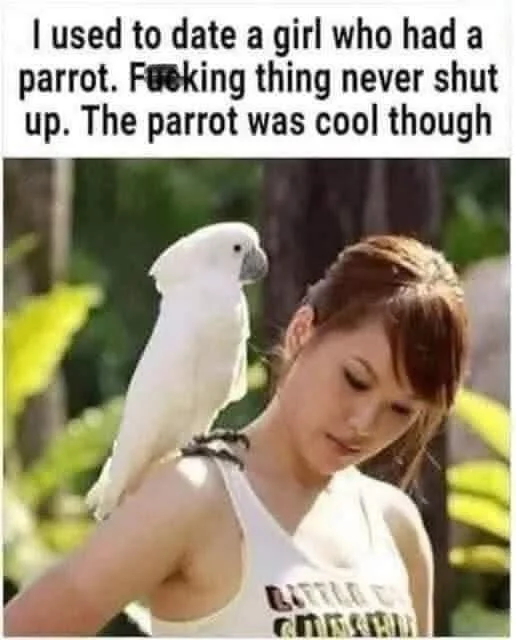 1747623321930.webp