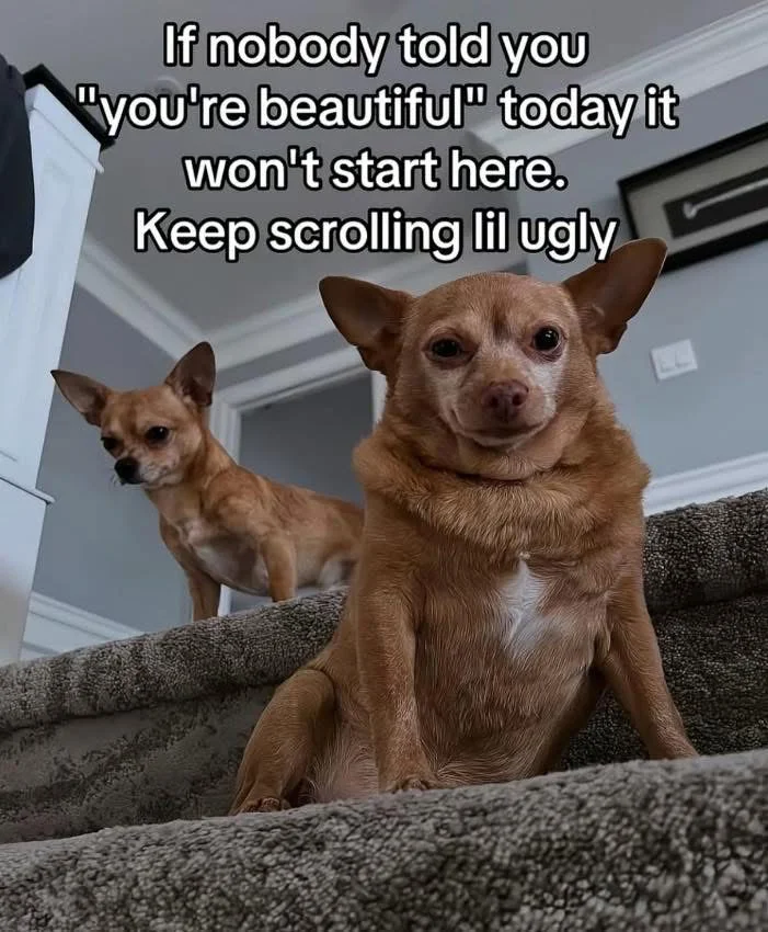1747684281495.webp