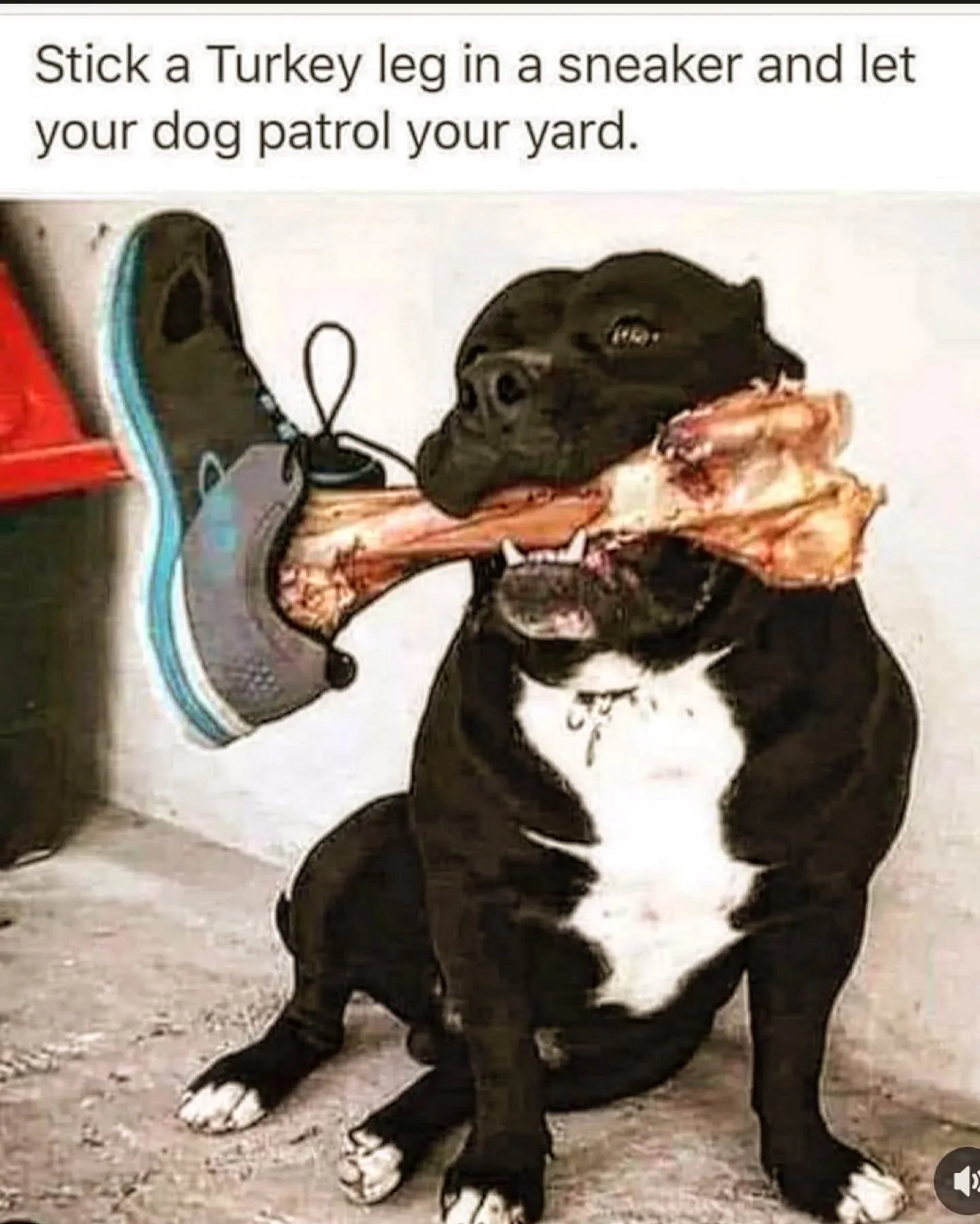 1747760659742.webp