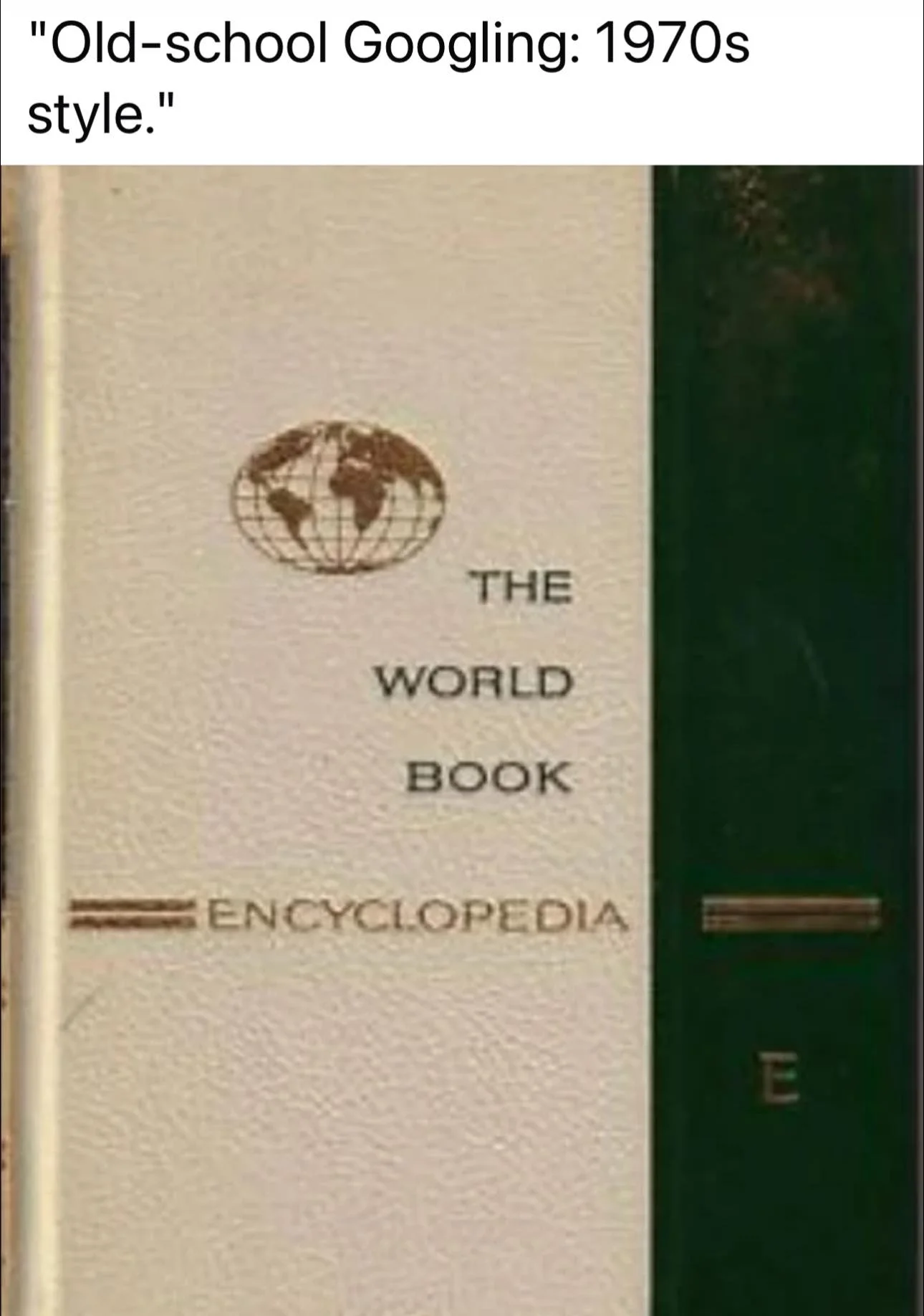1747766631167.webp