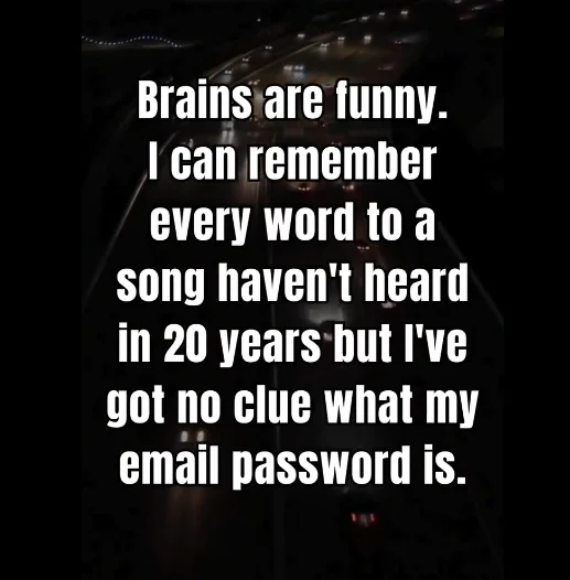 1748930455804.webp