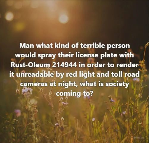 1750342143116.webp