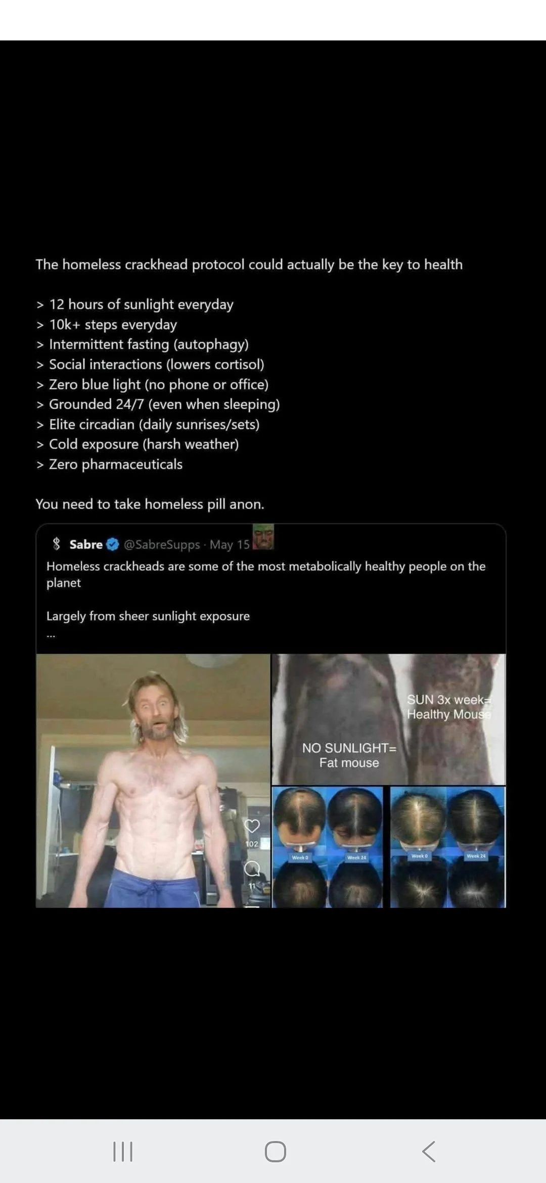 1750529048211.webp