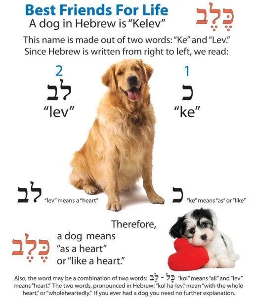 1752625576347.webp