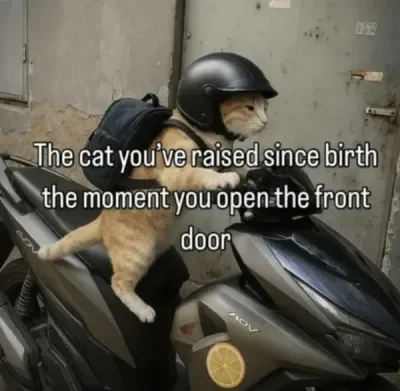 1752680599595.webp
