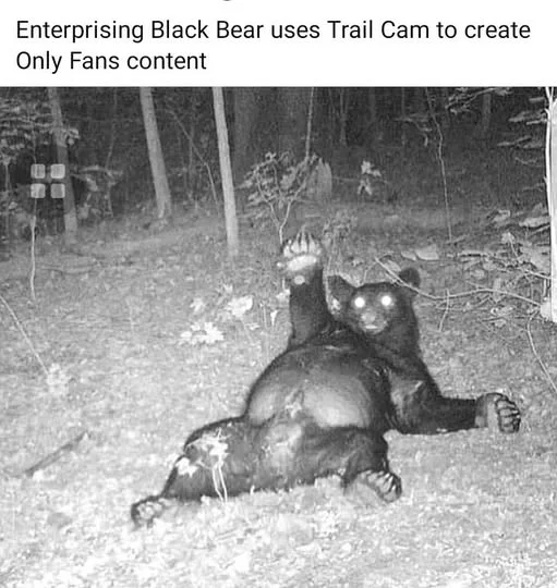1753493377068.webp