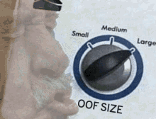 1755560585216.gif