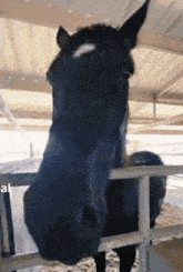 1757187861394.gif