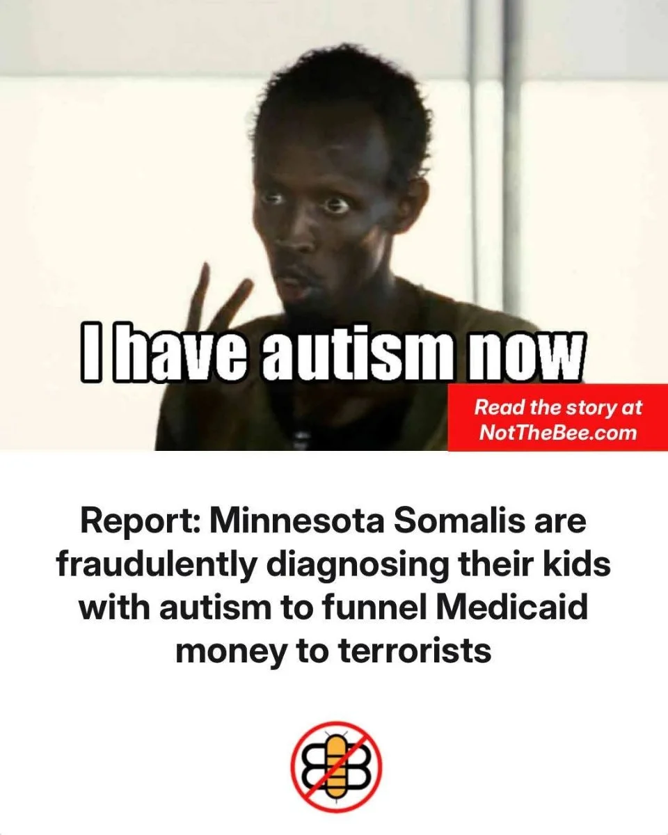 1763782295413.webp