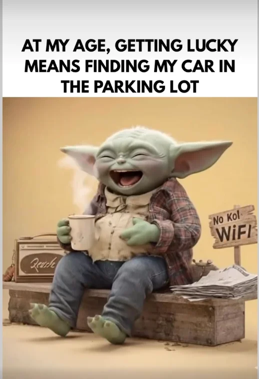 1763918142187.webp