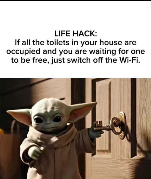 1764714411165.webp