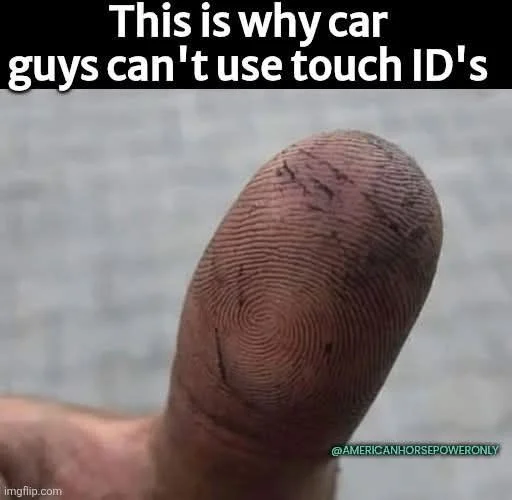 1765087983090.webp