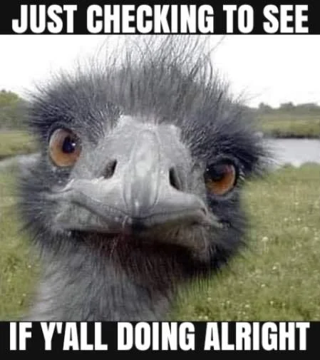 1765823732261.webp