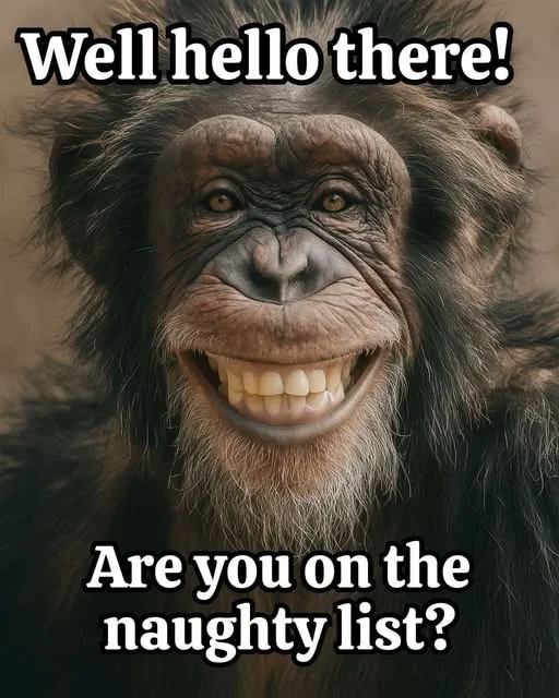 1766557256525.webp