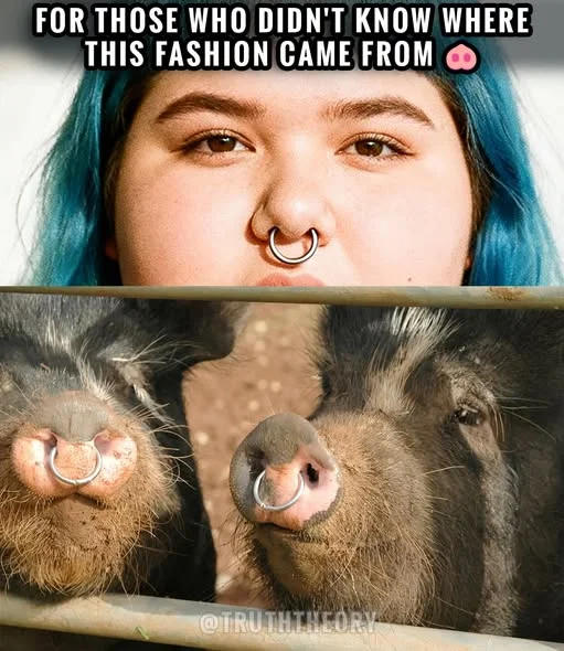 1767484879578.webp