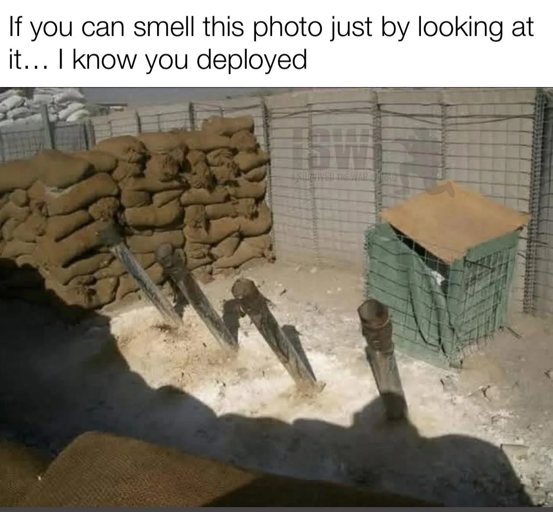 1768367586781.webp