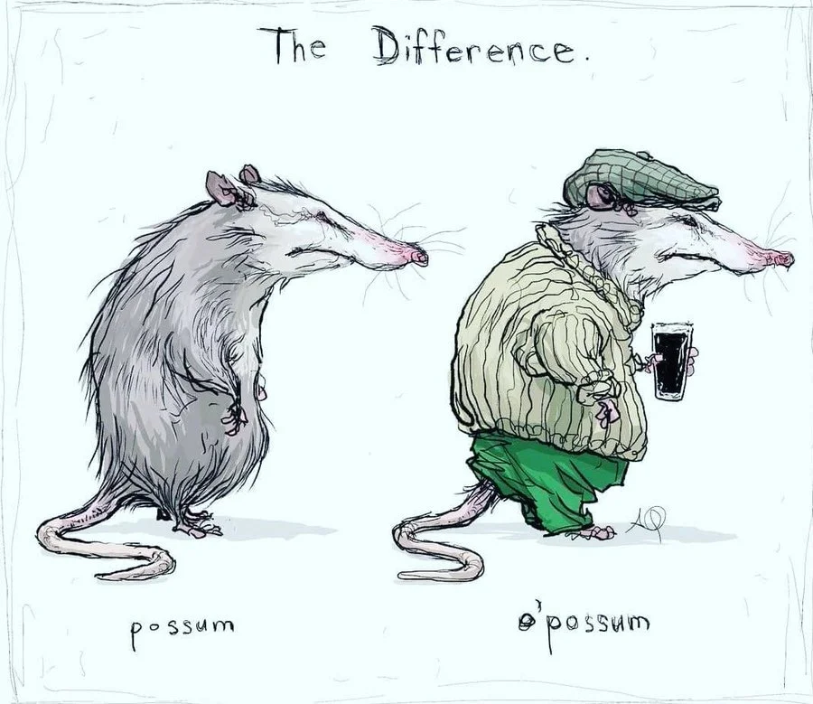1773792611478.webp