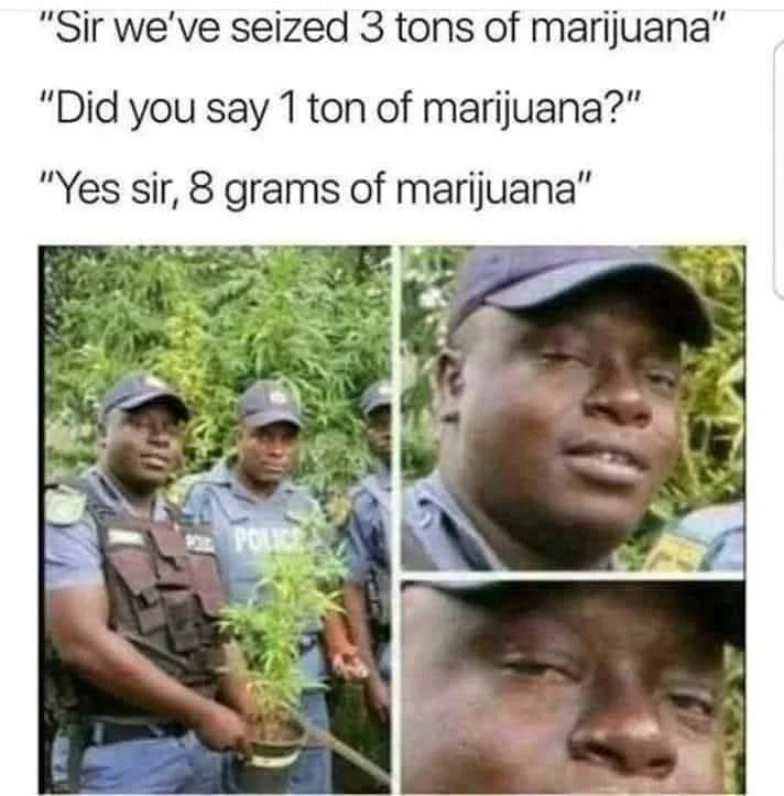 1773938444392.webp