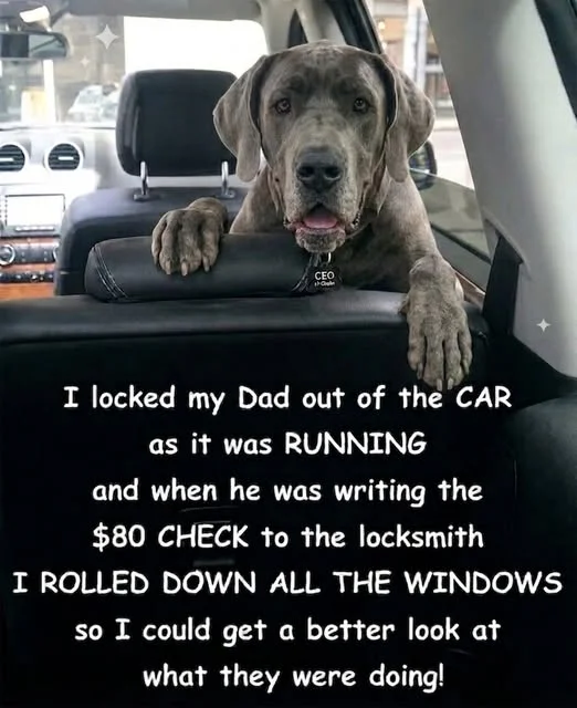 1779034825678.webp