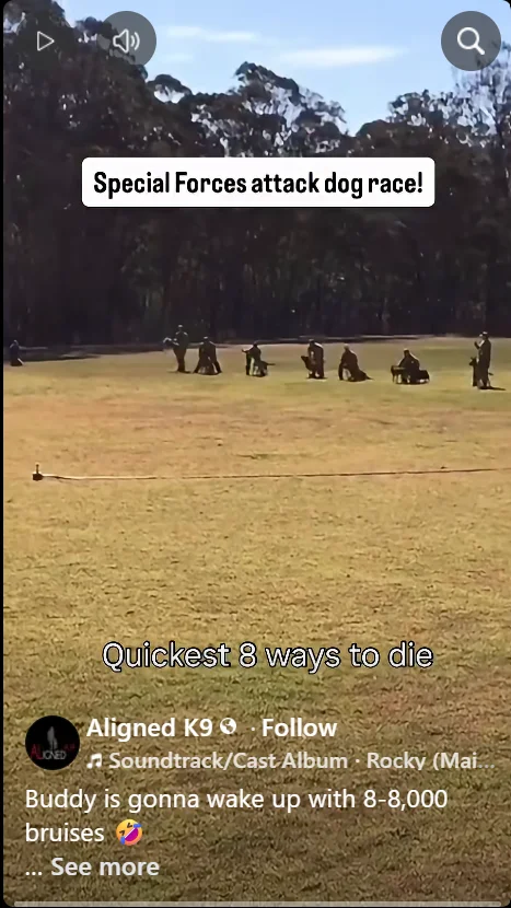 1779508960664.png